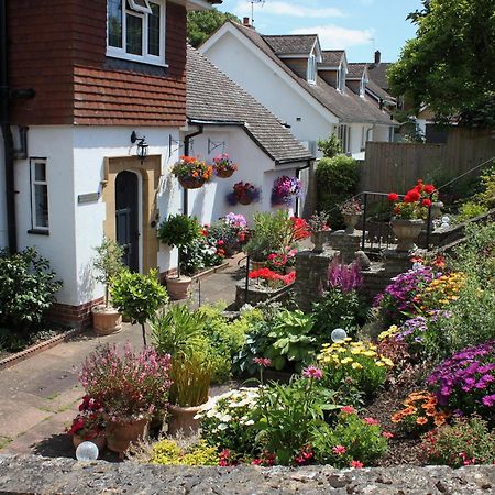 Ashlea At Amberley Vila Sidmouth Exterior foto